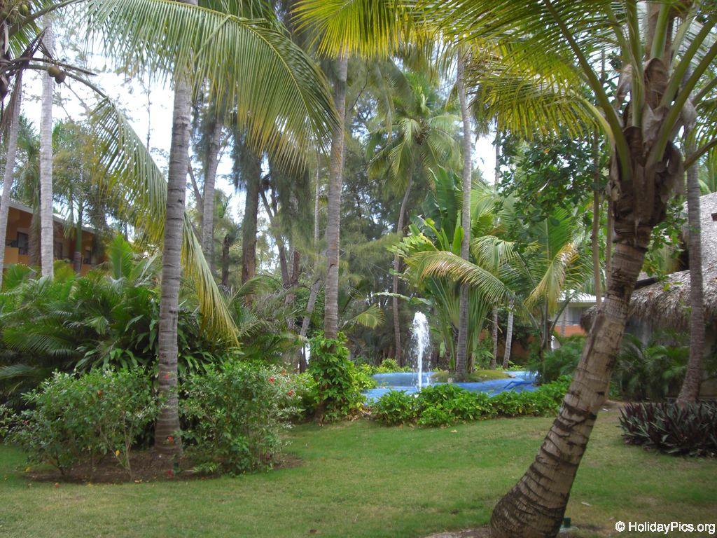 barcelo-dominican-beach-allgemein_3076