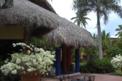 barcelo-dominican-beach-allgemein_3070