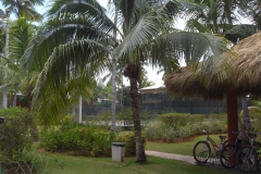 barcelo-dominican-beach-allgemein_3073