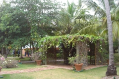 barcelo-dominican-beach-allgemein_3085