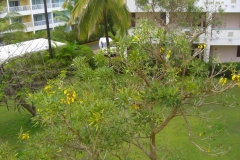 lti-beach-resort-punta-cana-anlage_4475