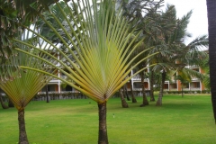 lti-beach-resort-punta-cana-anlage_4524