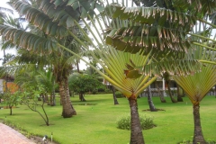 lti-beach-resort-punta-cana-anlage_4525