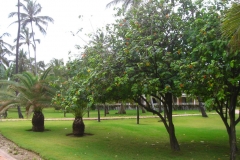 lti-beach-resort-punta-cana-anlage_4530