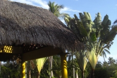 lti-beach-resort-punta-cana-anlage_4567