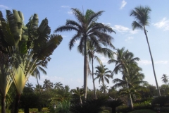lti-beach-resort-punta-cana-anlage_4568