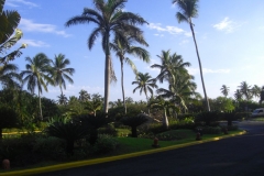 lti-beach-resort-punta-cana-anlage_4571