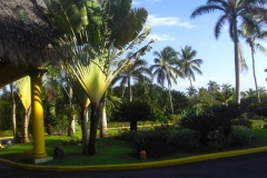 lti-beach-resort-punta-cana-anlage_4572