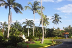 lti-beach-resort-punta-cana-anlage_4574