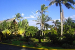 lti-beach-resort-punta-cana-anlage_4577