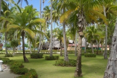 carabela-beach-resort-allgemein_3253