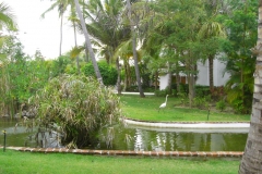 occidental-grand-punta-cana-verschiedenes_2975