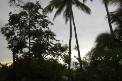 occidental-grand-punta-cana-verschiedenes_2976