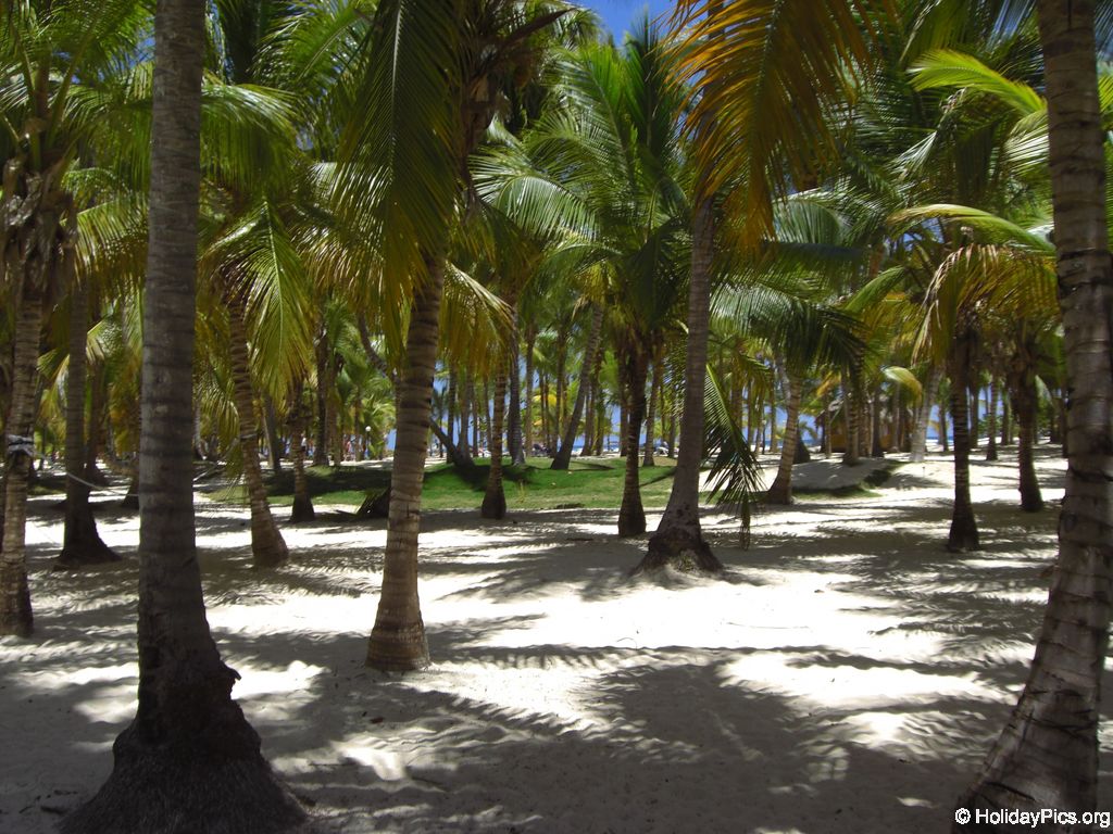 club-hotel-riu-bambu-strand_0782
