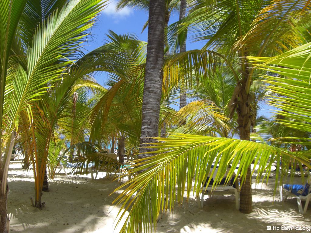 club-hotel-riu-bambu-strand_0843