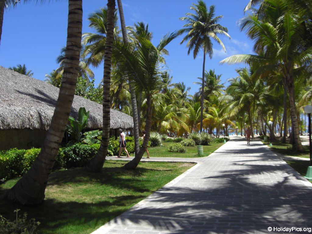 club-hotel-riu-bambu_0787