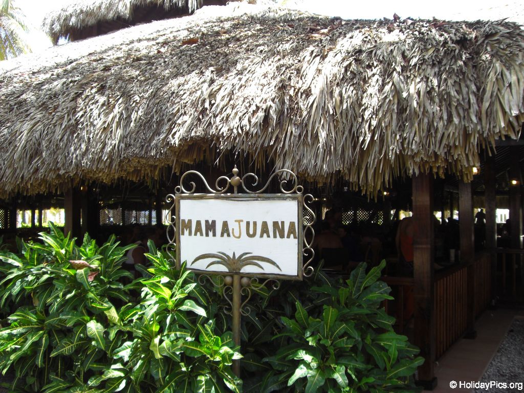club-hotel-riu-bambu_0821
