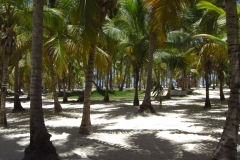 club-hotel-riu-bambu-strand_0782