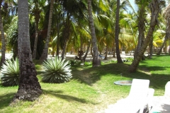 club-hotel-riu-bambu-strand_0830