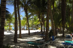 club-hotel-riu-bambu-strand_0837