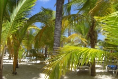 club-hotel-riu-bambu-strand_0843