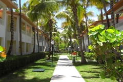 club-hotel-riu-bambu_0784