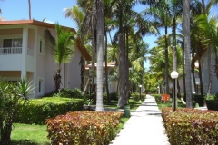 club-hotel-riu-bambu_0794