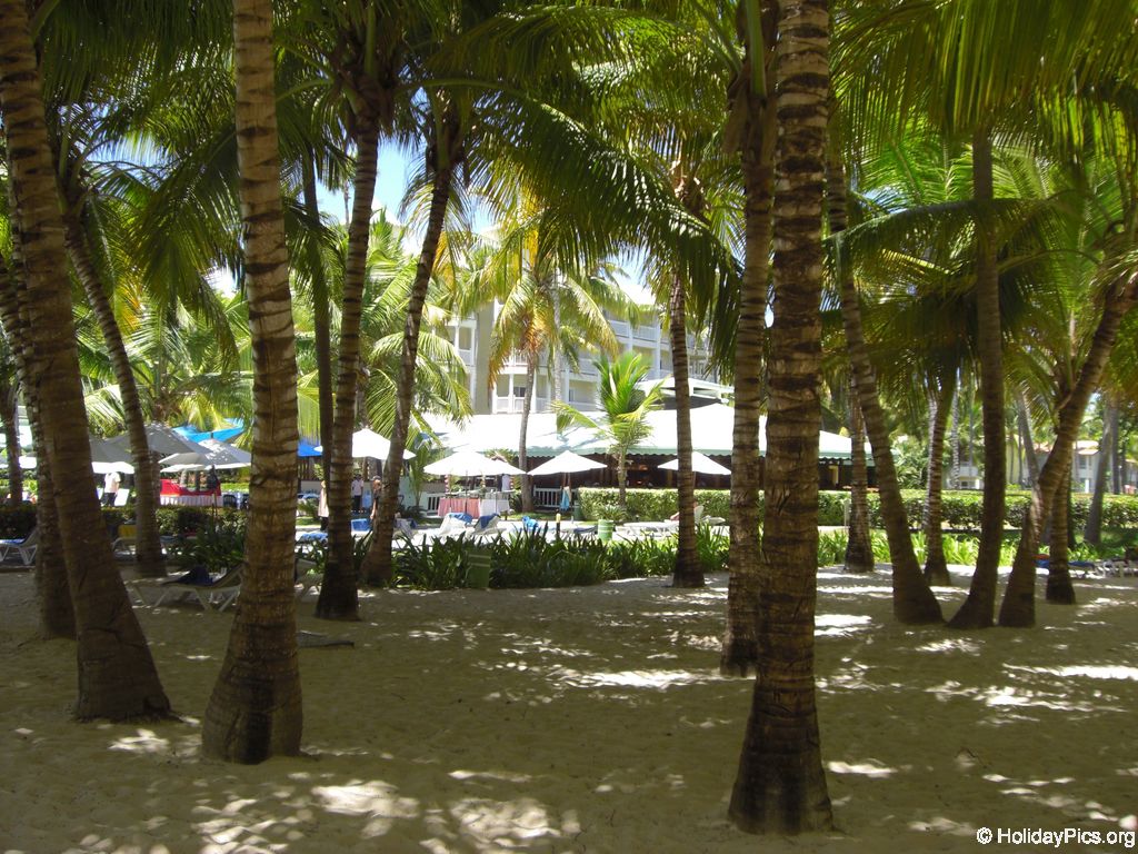 riu-palace-macao-strand_0735
