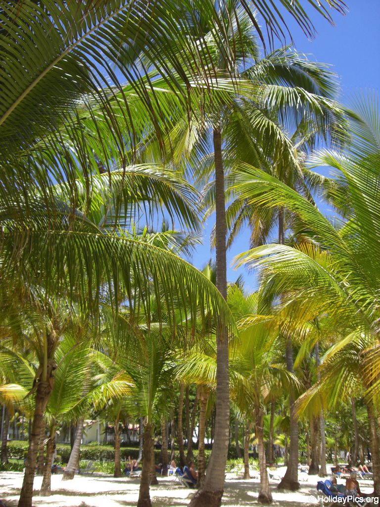 riu-palace-macao-strand_0738