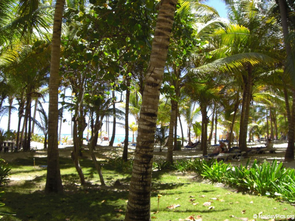 riu-palace-macao-strand_0740