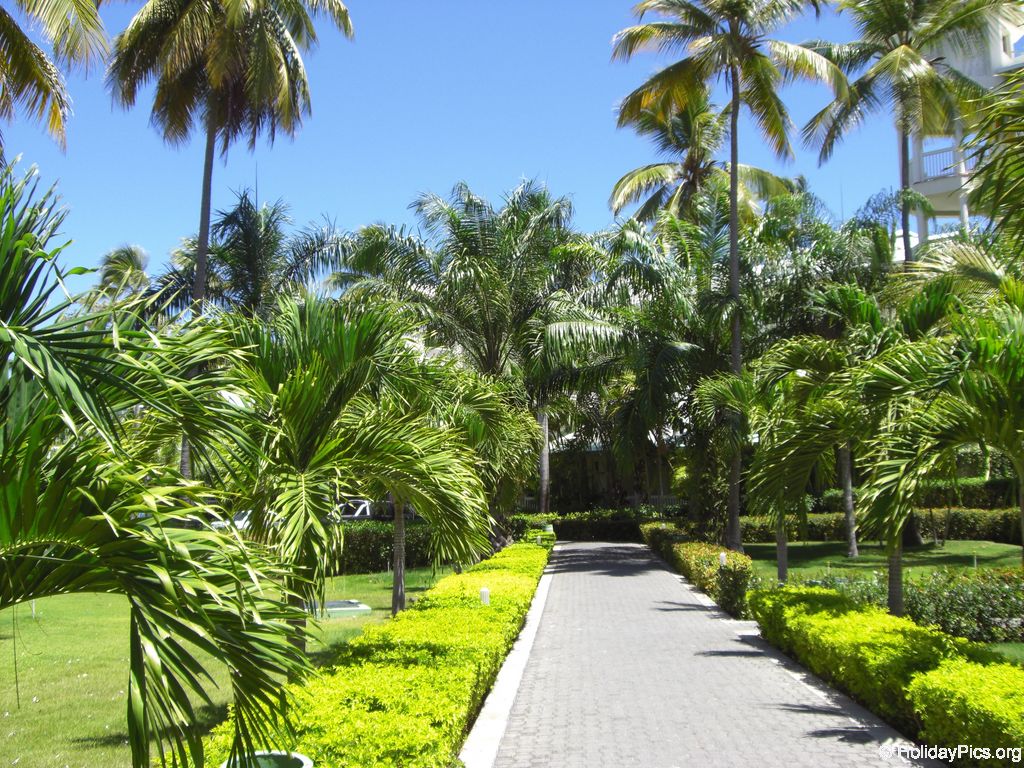 riu-palace-macao_0673