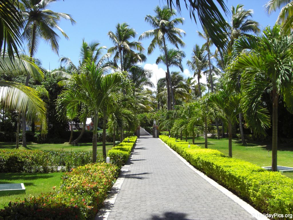 riu-palace-macao_0675