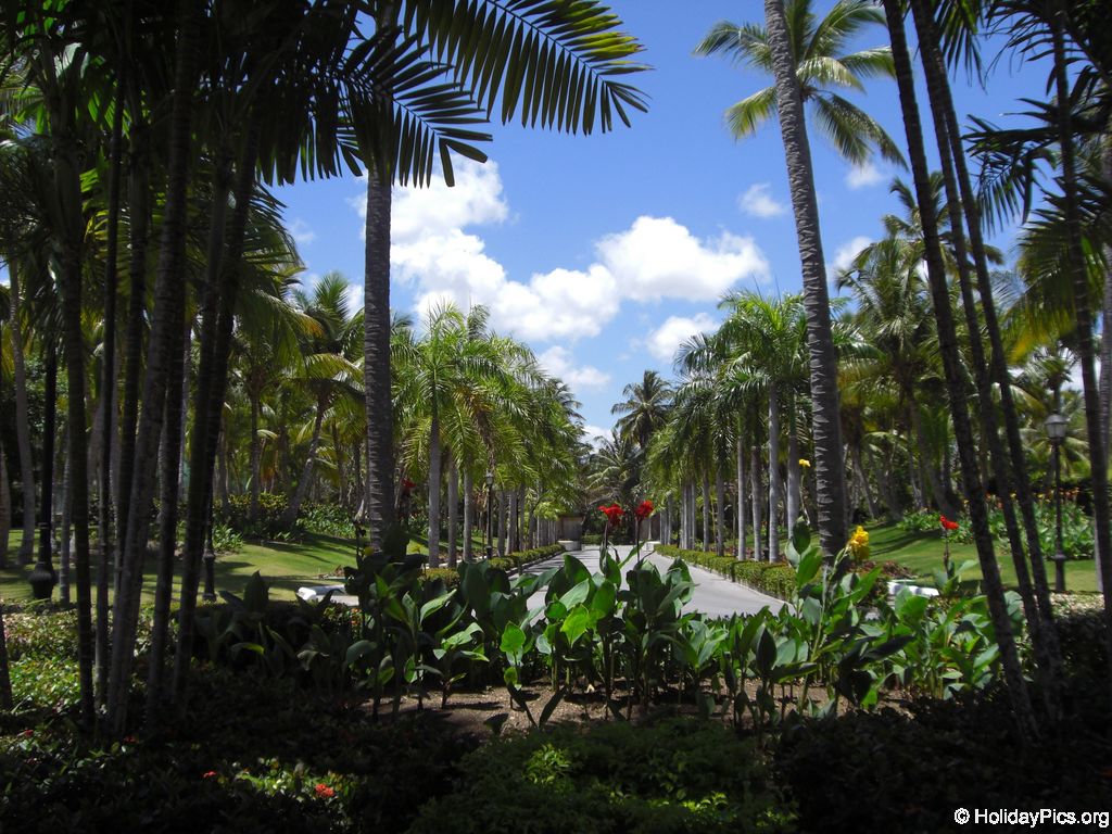 riu-palace-macao_0681
