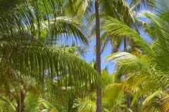 riu-palace-macao-strand_0738