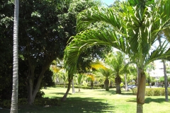 riu-palace-macao_0672