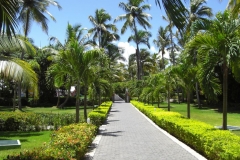 riu-palace-macao_0675