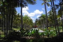 riu-palace-macao_0681