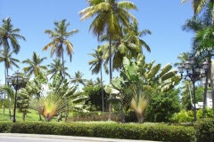 riu-palace-macao_0682