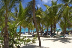 riu-palace-punta-cana-strand_0911