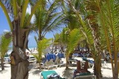 riu-palace-punta-cana-strand_0913