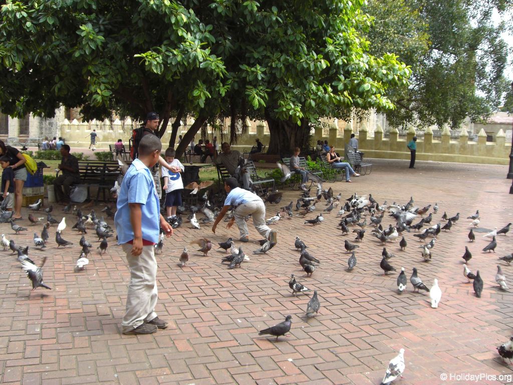 santo-domingo_230