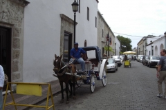 calle_de_las_damas_167