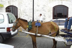 calle_de_las_damas_179