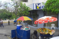 santo-domingo_270