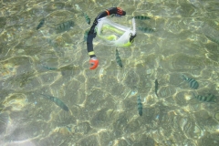 charm-churee-ko-tao-schnorcheln030