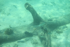 charm-churee-ko-tao-schnorcheln082