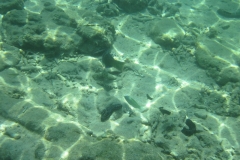 charm-churee-ko-tao-schnorcheln169