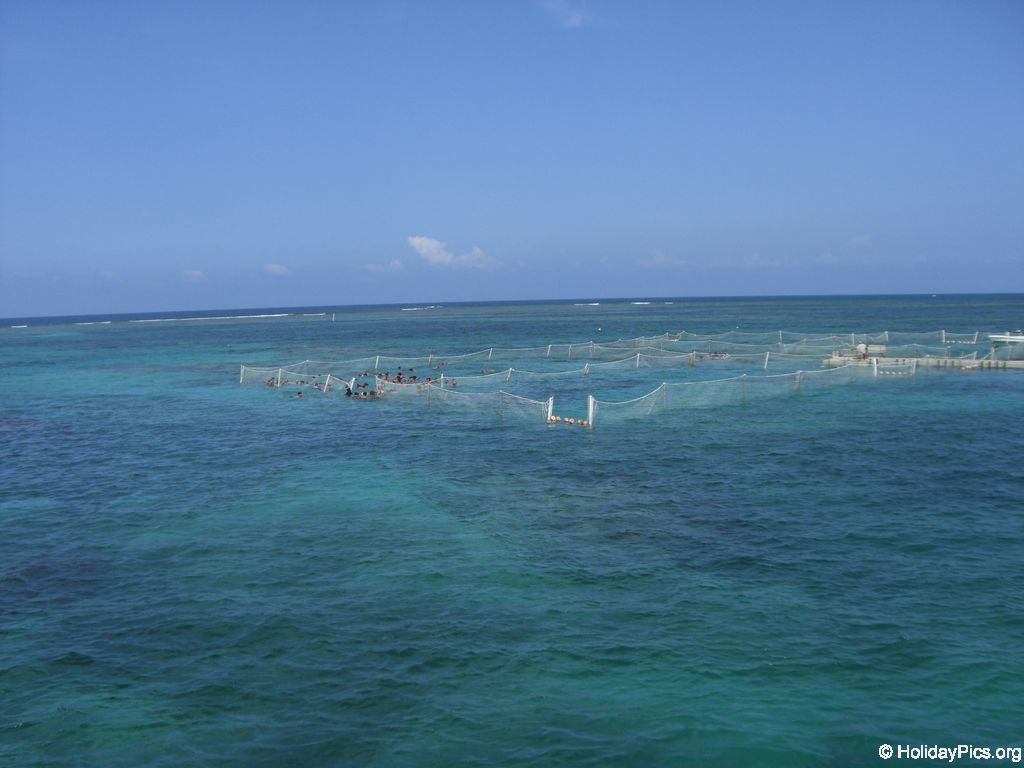 ausflug-marinarium-schnorcheln_1333