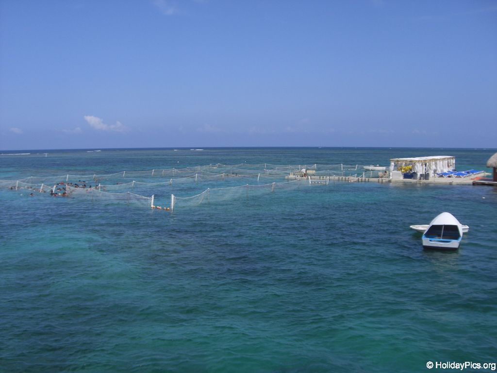 ausflug-marinarium-schnorcheln_1334