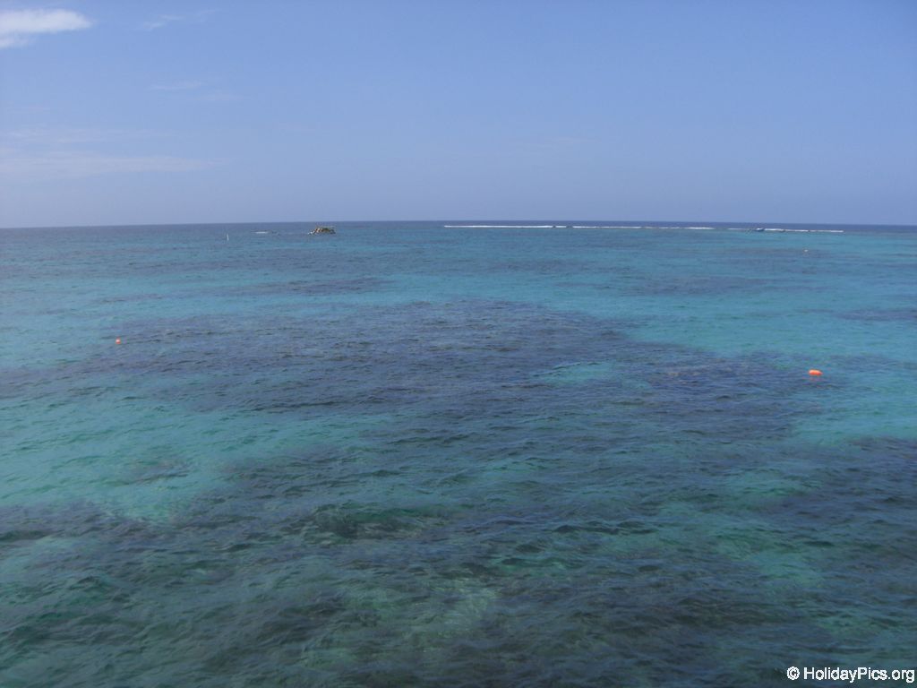 ausflug-marinarium-schnorcheln_1346